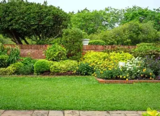 landscaping services Denton